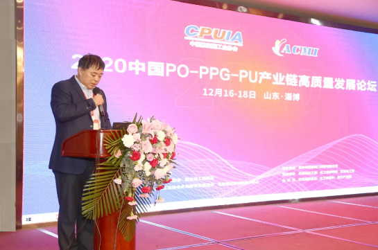 山東藍星東大有限公司總工程師、總經(jīng)理助理郭輝