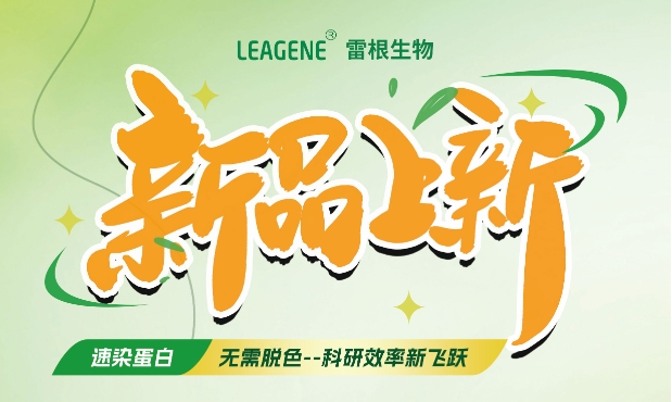 最新力作【考馬斯亮藍快速染色液（免脫色版）】，正式加入我們的產(chǎn)品家族！
